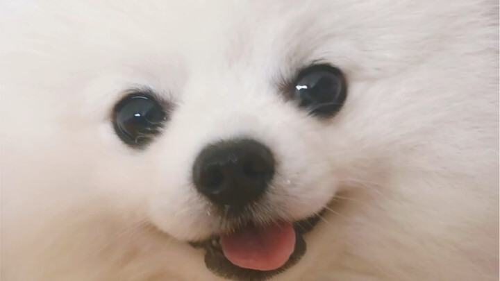 I've watched this video a hundred times.