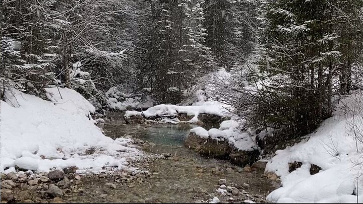 Nature Sound from Austrian Alps
