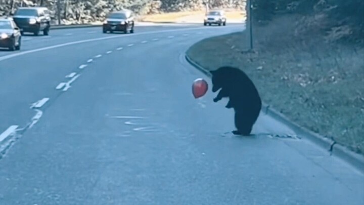 Trời tối thì thắp đèn, trời mưa thì mang ô; cuộc sống thực ra không nhất thiết phải hoàn hảo.