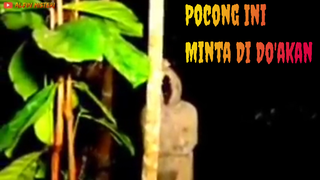 Viral.. Penampakan Pocong Pocong ini Minta Di Do'akan