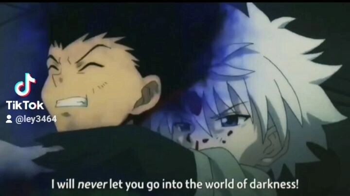 gon and killua hunter x hunter