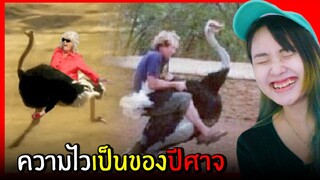 ขำอร่อย Ep.38 : ความไวเป็นของปีศาจ (รวมคลิปตลกฮา)