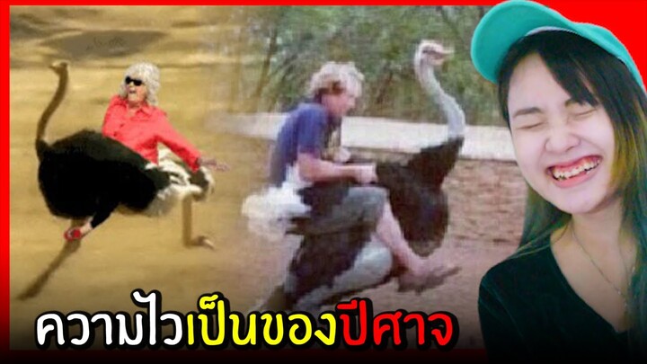 ขำอร่อย Ep.38 : ความไวเป็นของปีศาจ (รวมคลิปตลกฮา)