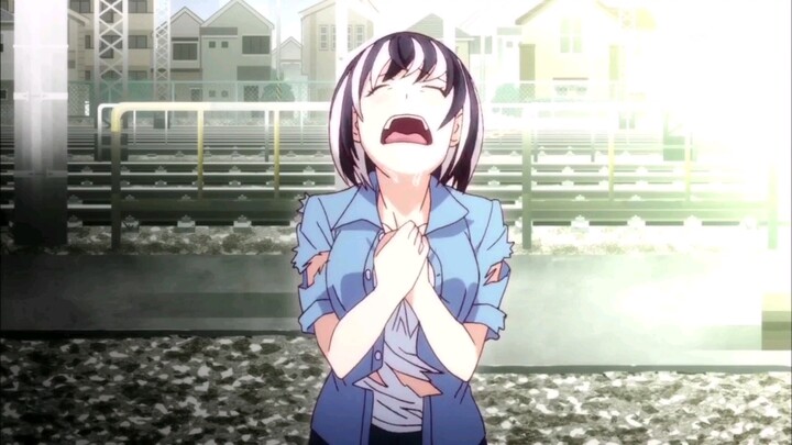 "I like Araragi-kun the most."