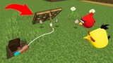 I Create a Trap for Angry Birds in Minecraft - online gameplay