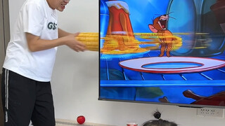 If you have a kindergarten diploma, you won't be fooled by your father. Tom and Jerry TV interaction