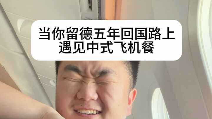 When You Return to China After Five Years in Germany and Encounter a Chinese-Style Airplane Meal
