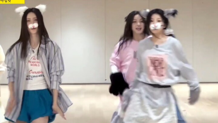 illit phiên bản tai mèo «do the dance»