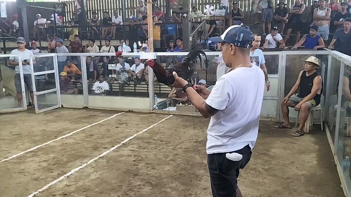 melsim indang cockpit