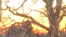 Relaxing Steam with sunrise