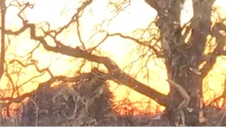 Relaxing Steam with sunrise