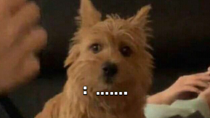 Dance|TWICE|MOMO Playing With Puppy