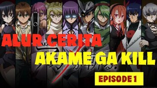 Alur Cerita Akame Ga Kill Eps 1