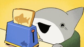 猛男必看！谁会不喜欢可爱的鲨鲨？！