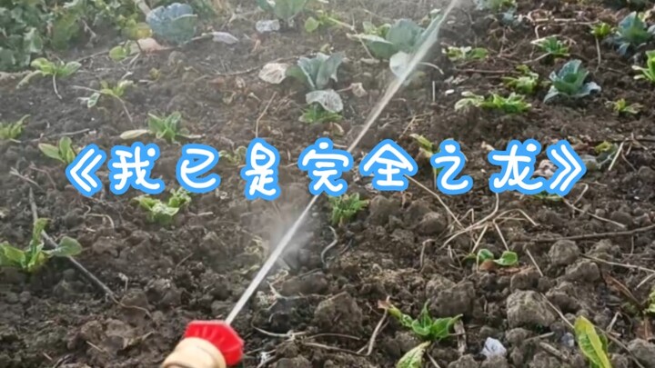 “นาวิเล็ต?”