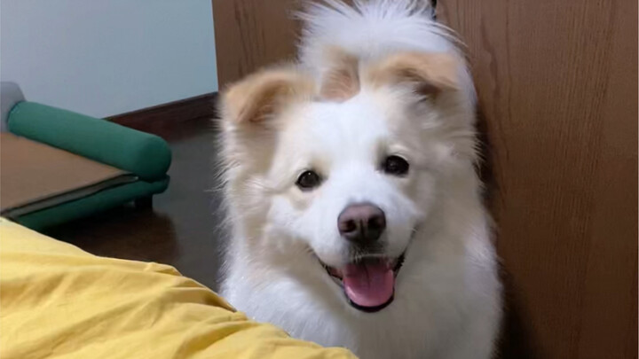 If you don't play with her, she'll keep staring at you until the water boils.