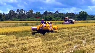 Nhạc Không lời Remix Buổi Sáng Cực Phê l Máy Gặt Đập Liên Hợp l Cuộc Sống Miền Tây