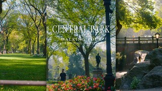 การออกแบบอันยอดเยี่ยมของสวนสาธารณะเซ็นทรัลพาร์คในนิวยอร์ก