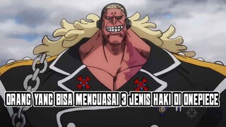 aliansi generasi terburuk pun belum cukup untuk mengalahkan orag ini(review anime ONEPIECE STAMPEDE)