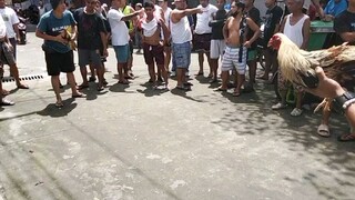 hiraw win tupada