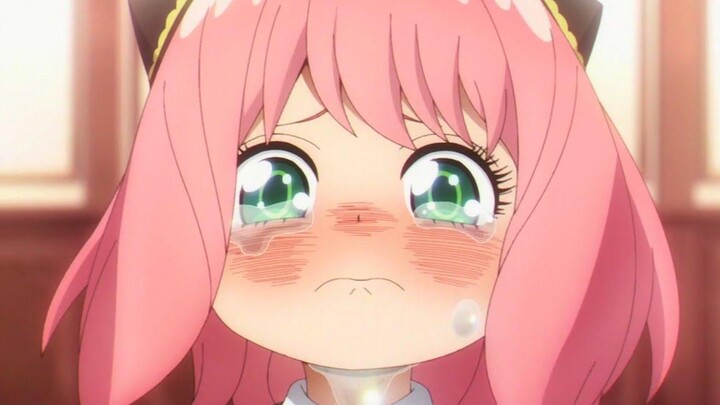 Spy x Family「AMV」- กตัญญูกตเวที