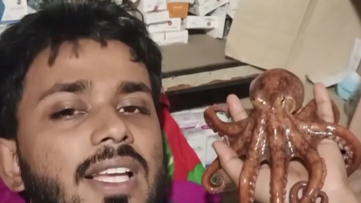 বাংলাদেশী অক্টোপাস ভিডিও