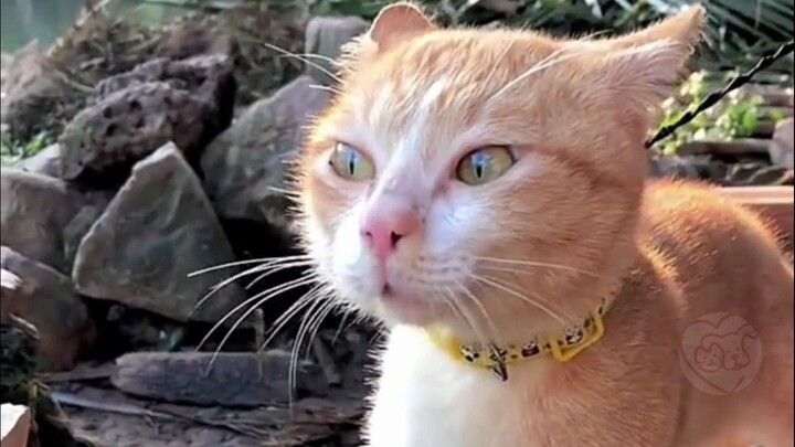 “The leader doesn’t even feel like communicating with me.”