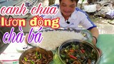 Thánh Ăn Vĩnh Long ăn lươn đồng "chà bá" l Tâm Chè Vĩnh Long.