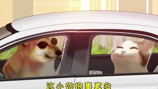 Mengapa kamu tidak naik mobil lain?