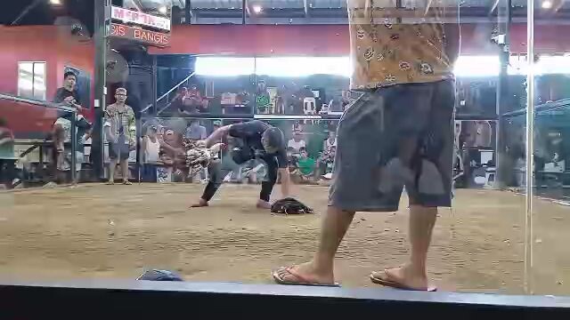 WALANG SUGAT!!