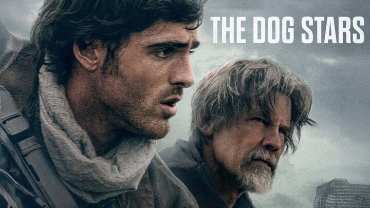 THE DOG STRAS
