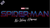 SPIDER-MAN- No Way Home - KHÔNG CHỈ CÓ 3 NGƯỜI NHỆN