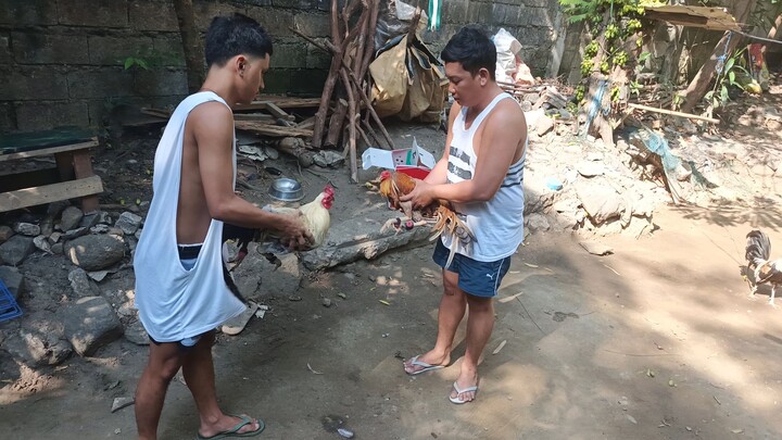 sapar parehong 1x winner