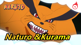 Naruto|Kurama, I Miss You!_1