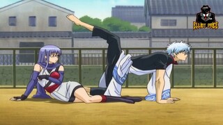 銀時が犬に変身したら、彼は何をするでしょうか？【Gintama Funny Moments】 銀魂 面白いシーン