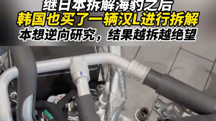 After Japan took apart the BYD Seal, South Korea bought a Han L for teardown too—thinking they’d rev