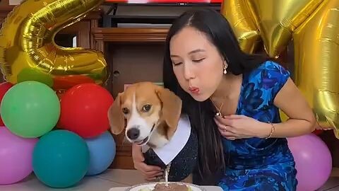 kasih surprise untuk doggy !