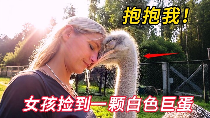 A girl found a giant white egg in her backyard. Out of curiosity, she brought it home and tried to h