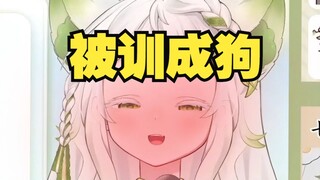我特么被舰长训成狗了？！！