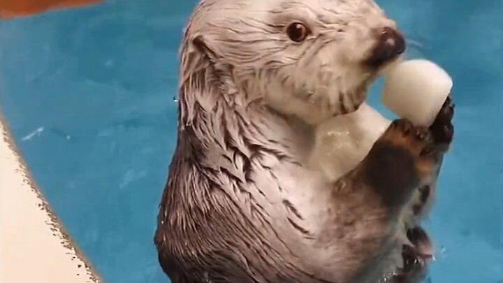 مشاركة التحديثات