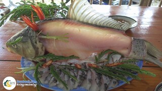 CÁ CHÉP GIÒN Xối Dầu & Nhúng Lá Me | Hội Ngộ Miền Tây - Tập 254