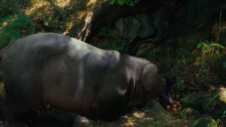 okja.❤️❤️