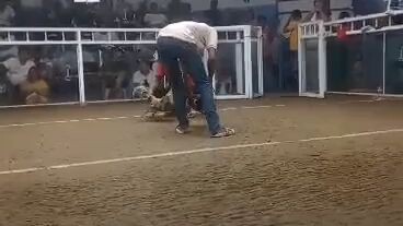 RCO GF Let's goo bulik babalik