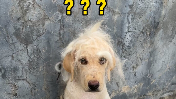 Your carelessness shattered so much of my tenderness.