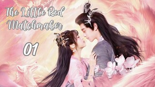 🇨🇳Ep.01 The Little Red Matchmaker (2024) [EngSub]