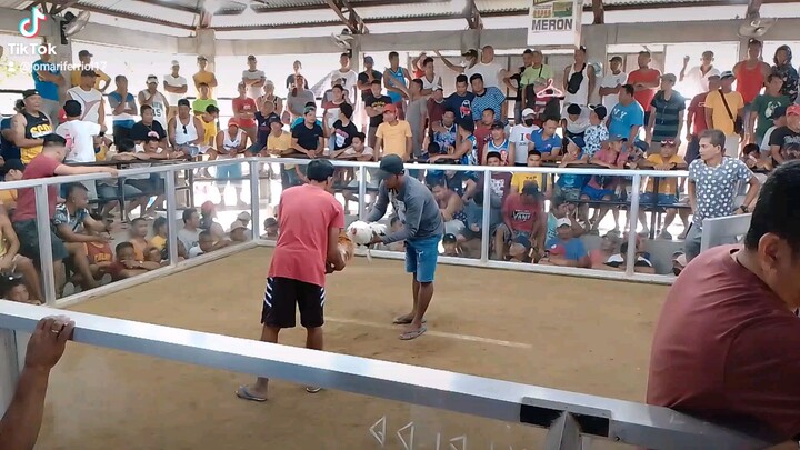 Bullseye 3rd fight Win mga Boss idol 🐓🥰🏆