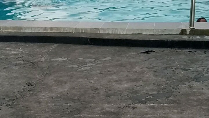 berenang episode 1