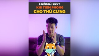 6 điều cần lưu ý trước và sau khi tiêm phòng cho thú cưng mà không phải ai cũng biết! tuitienpet LearnOnTikTok pet dcgr