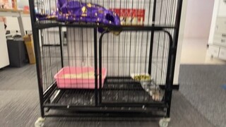 Baggage