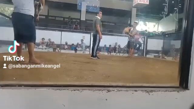 ambagal Ng sentensyador, panalo na natabla pa,